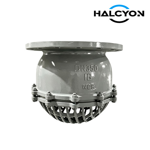 Flanged Marine Foot Valve